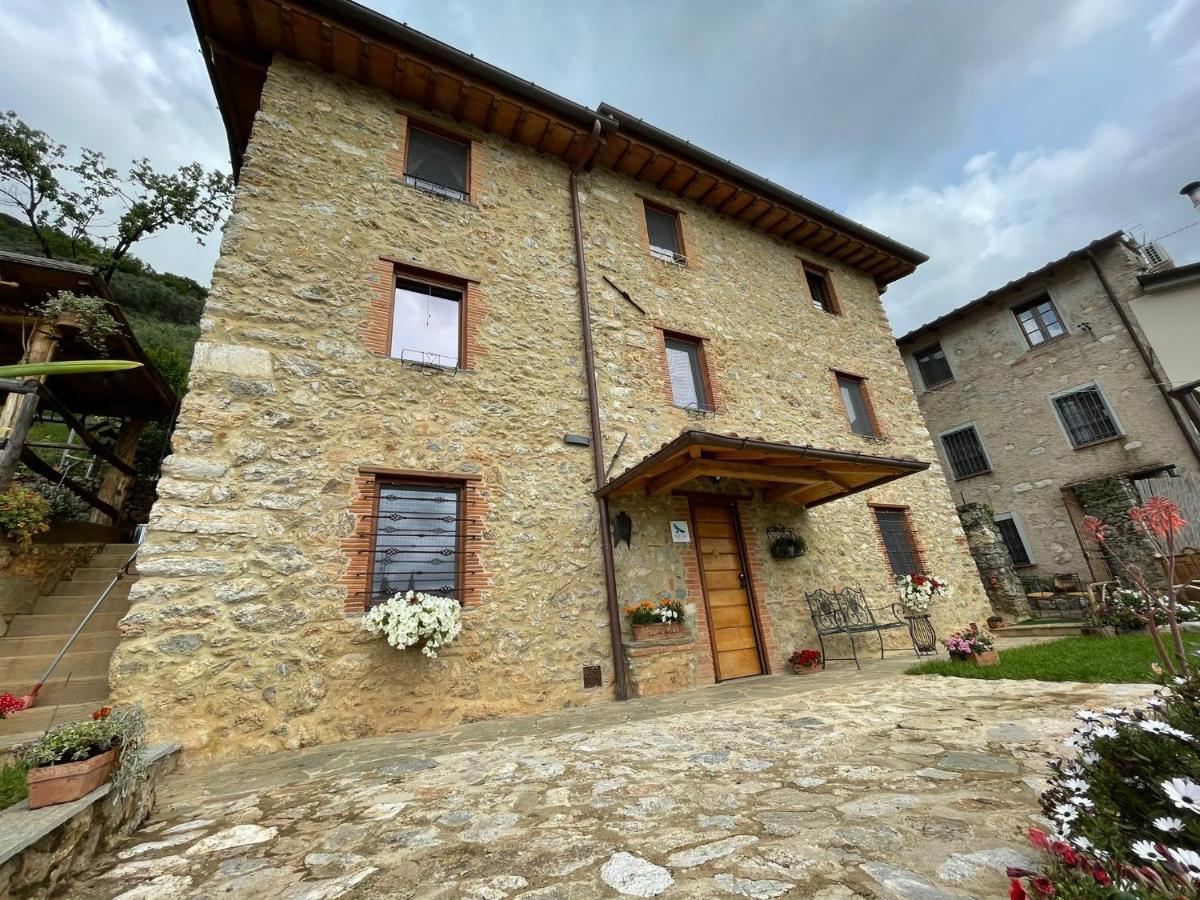 B&B Il Volo Camaiore Exteriör bild