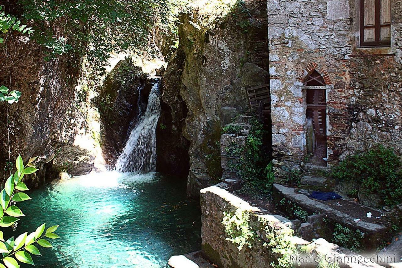B&B Il Volo Camaiore Exteriör bild