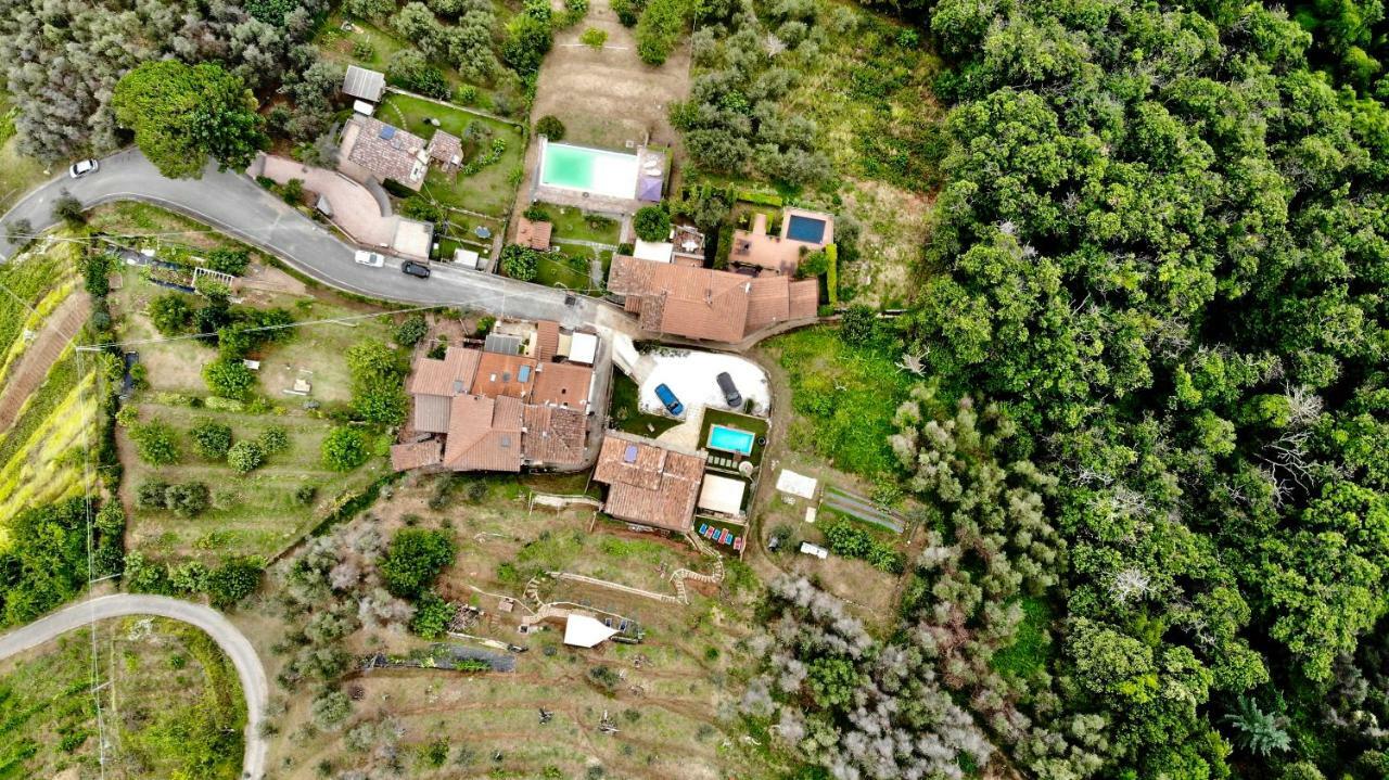 B&B Il Volo Camaiore Exteriör bild